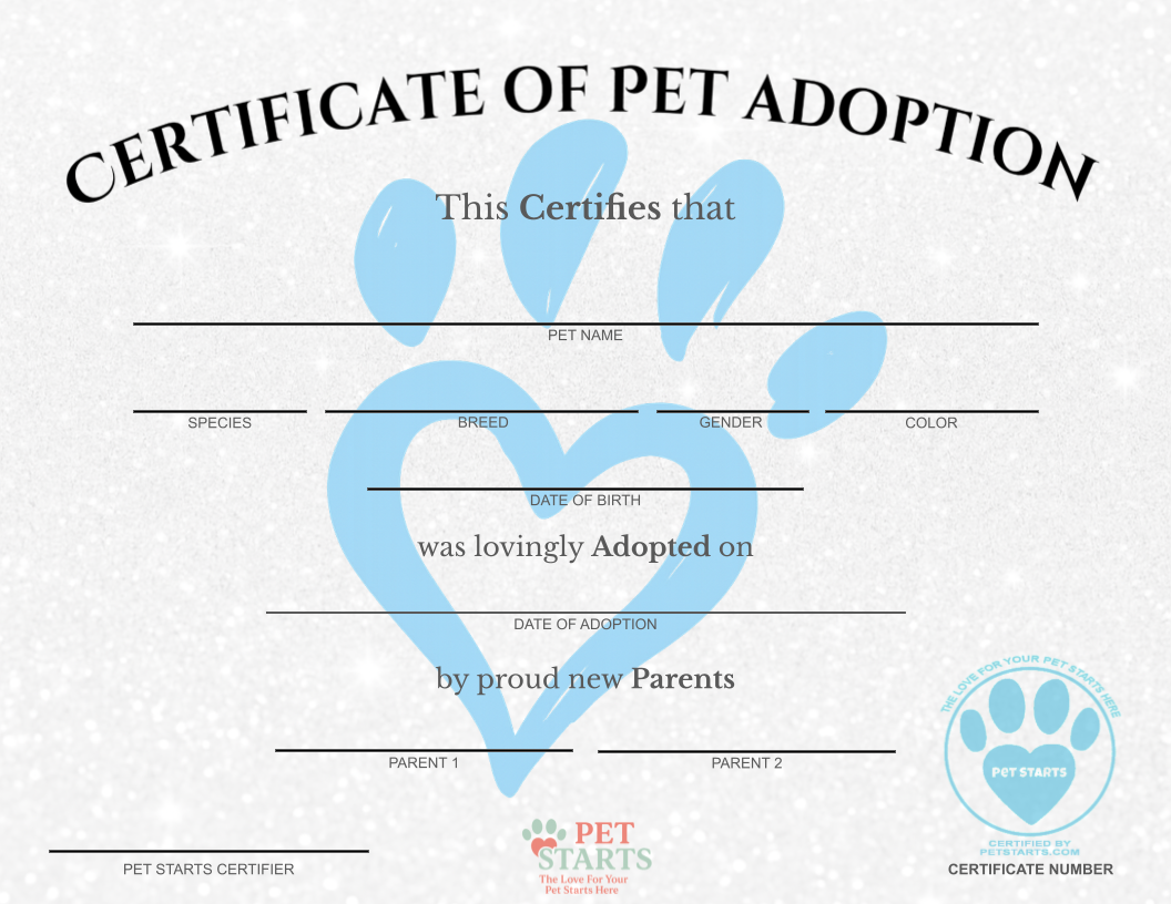 Original Blue Paw Print Pet Adoption Certificate